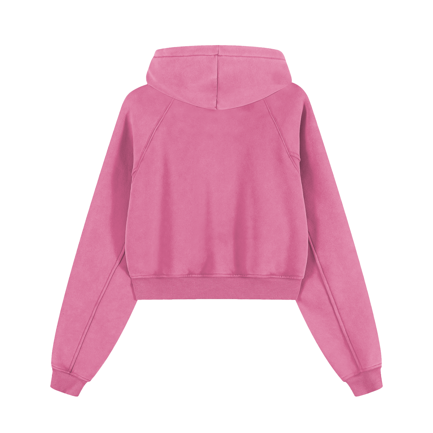 Womens Washed Cropped Hoodie